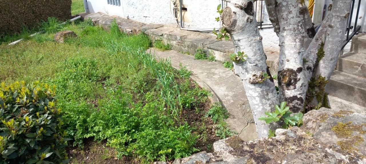 Hotel Pension Baires O Coto Zewnętrze zdjęcie